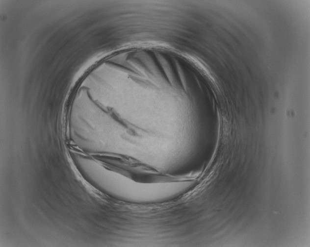 X0000083611046200703121557