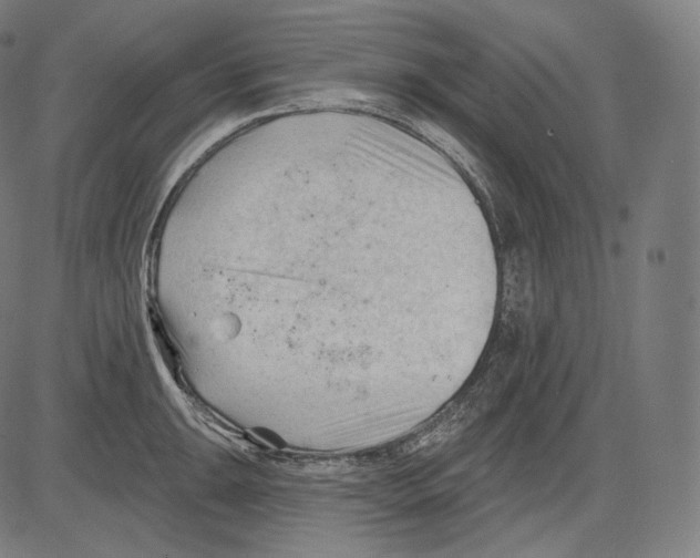 X0000083611047200703121557