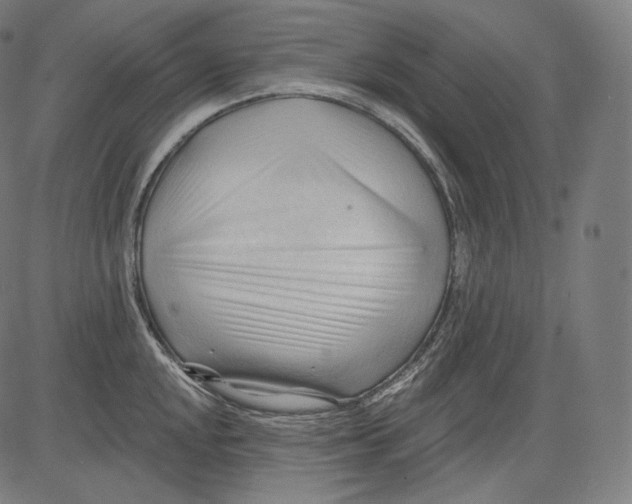 X0000083611048200703121557