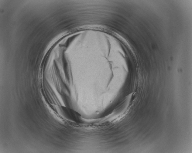 X0000083611050200703121557