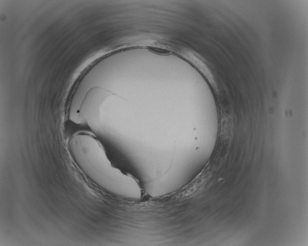 X0000083611051200703121557