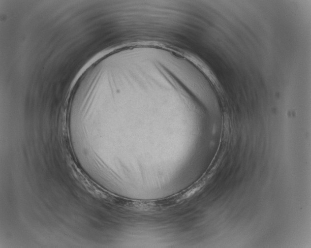 X0000083611052200703121557