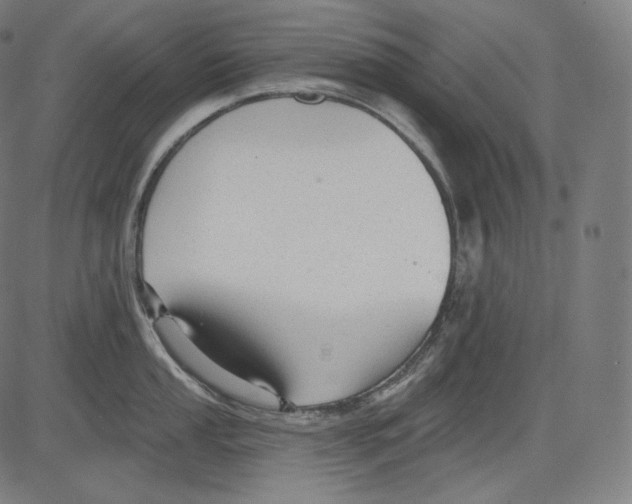 X0000083611053200703121557