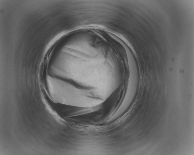 X0000083611054200703121557