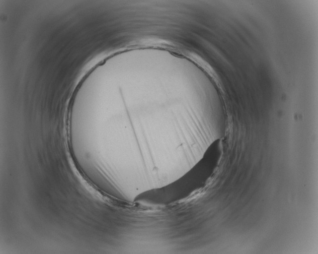 X0000083611055200703121557