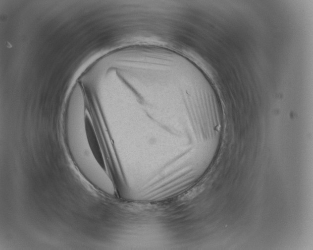 X0000083611056200703121557