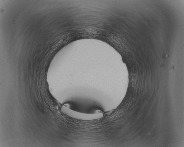 X0000083611057200703121557