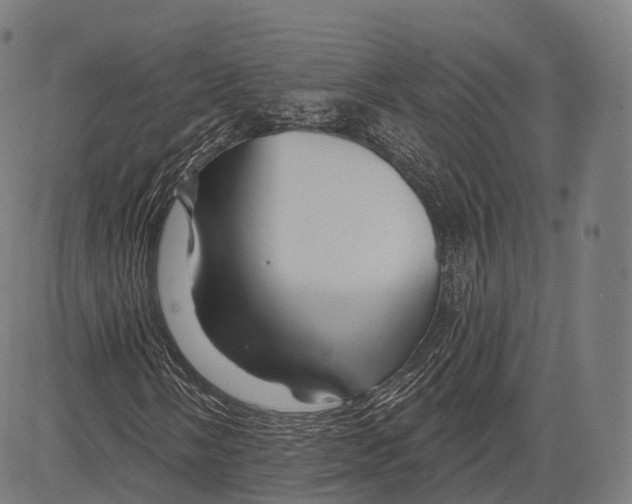 X0000083611058200703121557