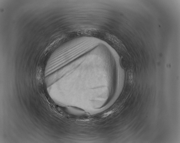 X0000083611060200703121557