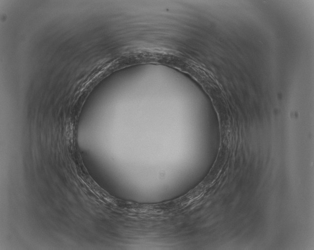 X0000083611061200703121557