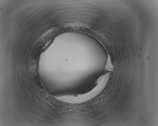 X0000083611062200703121557