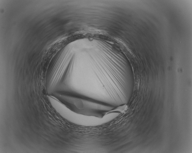 X0000083611063200703121557