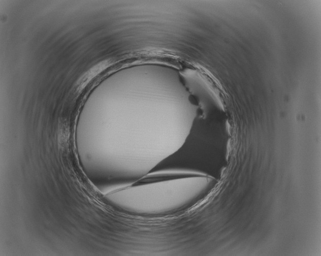 X0000083611065200703121557