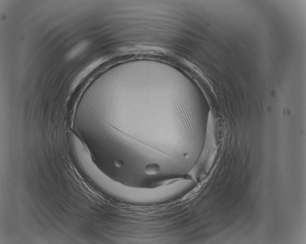 X0000083611066200703121557