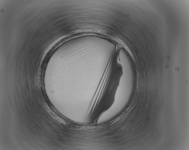 X0000083611068200703121556