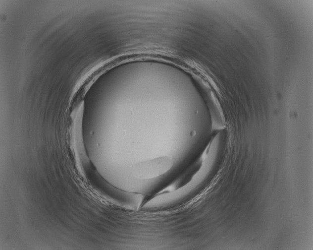 X0000083611069200703121556