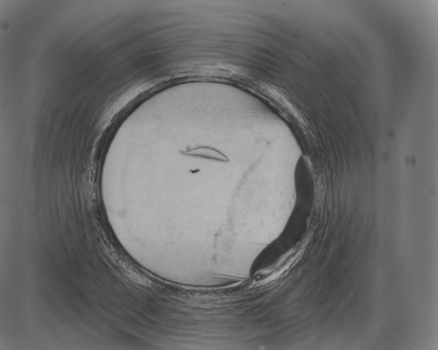 X0000083611071200703121556