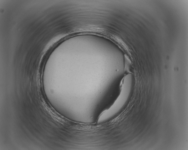 X0000083611072200703121556