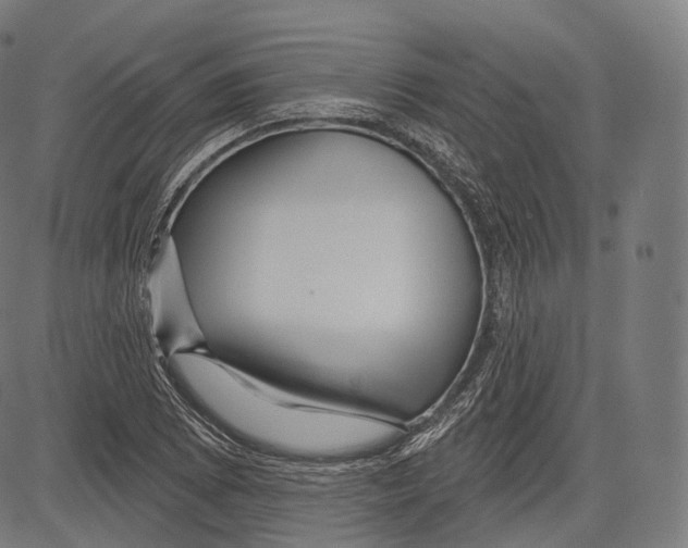 X0000083611073200703121556