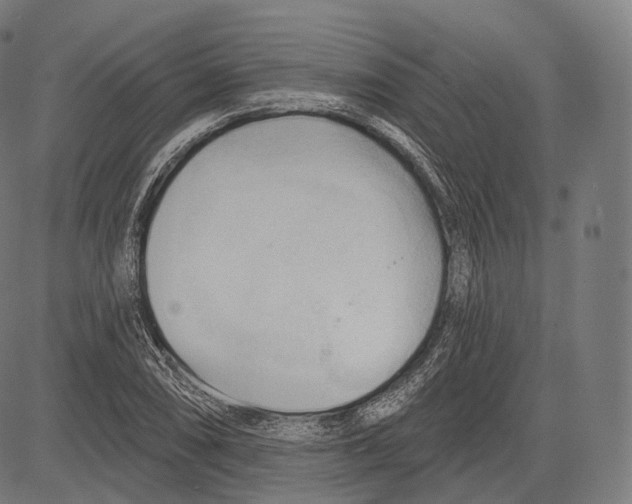 X0000083611074200703121556