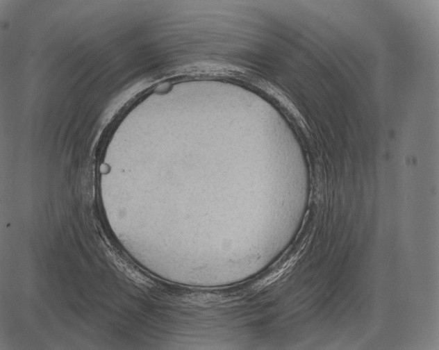 X0000083611075200703121556