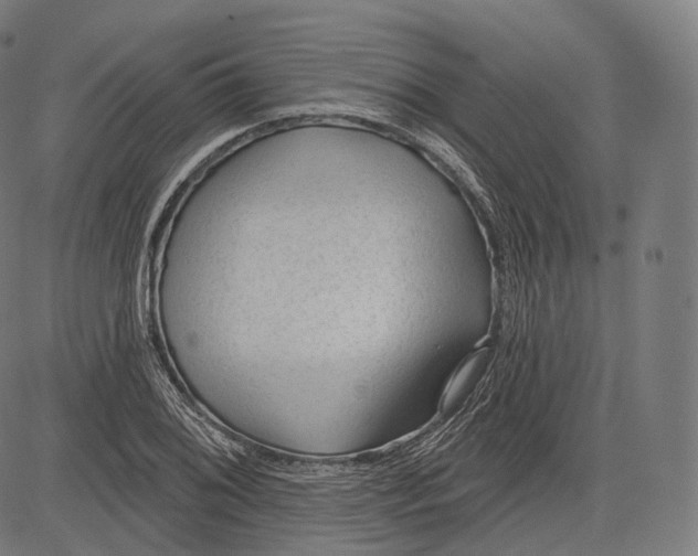 X0000083611076200703121556