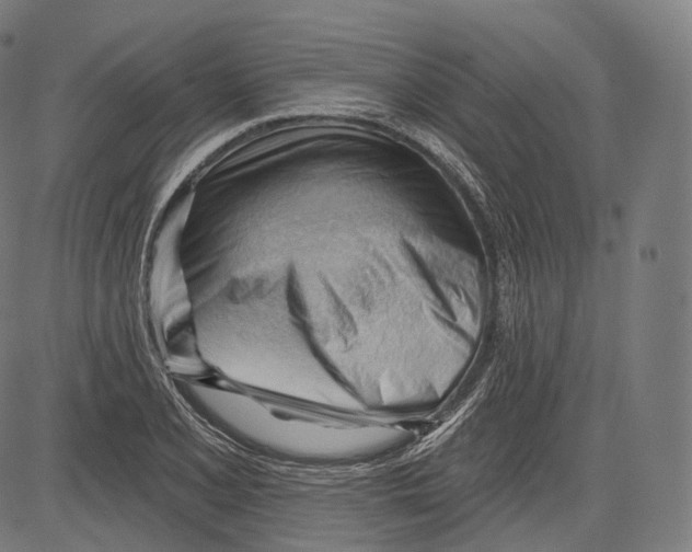 X0000083611077200703121556