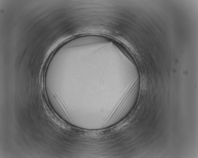 X0000083611078200703121556