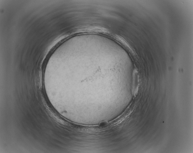 X0000083611079200703121556