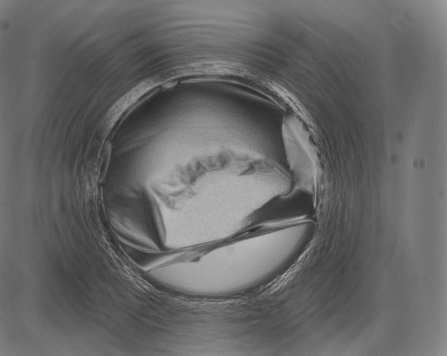 X0000083611081200703121556