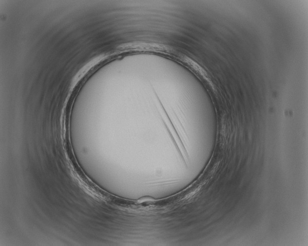 X0000083611082200703121556