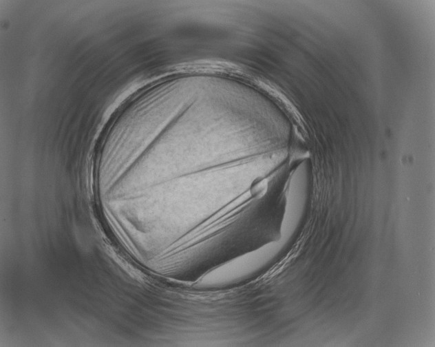 X0000083611083200703121556