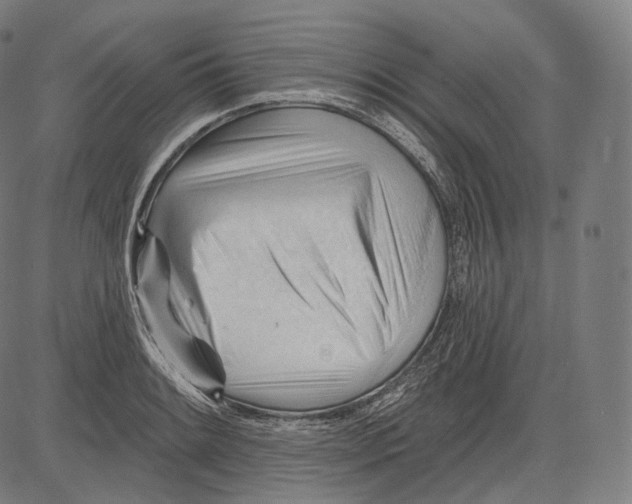 X0000083611084200703121556