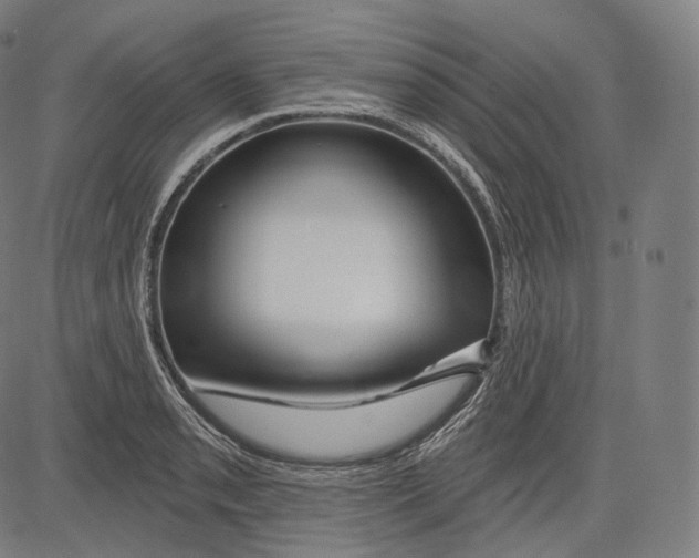 X0000083611085200703121556