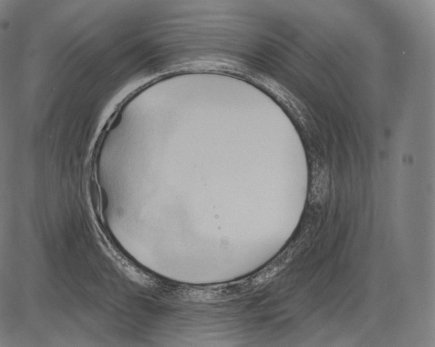 X0000083611086200703121556