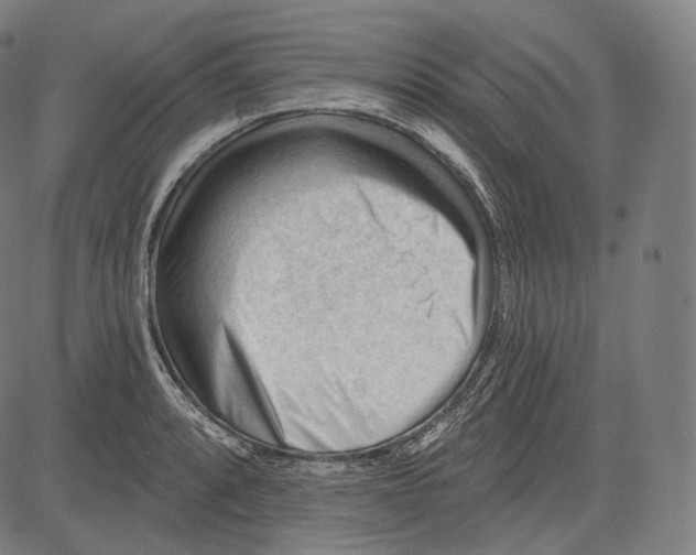 X0000083611088200703121556