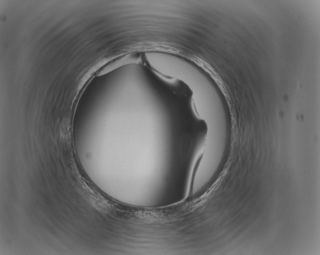 X0000083611089200703121556