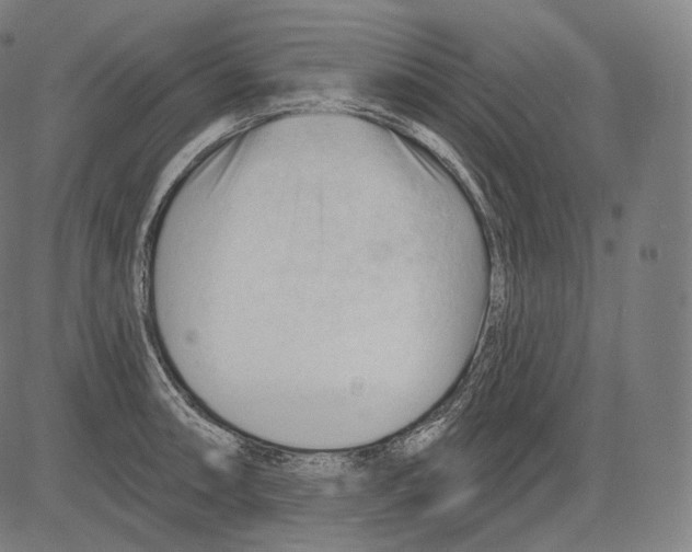 X0000083611090200703121556