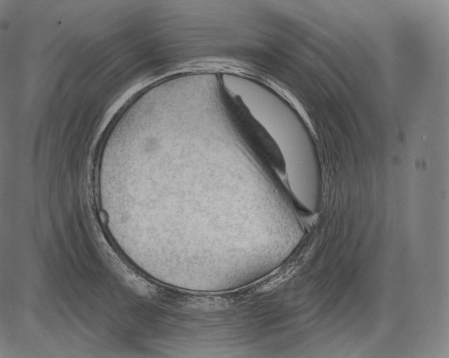 X0000083611091200703121556