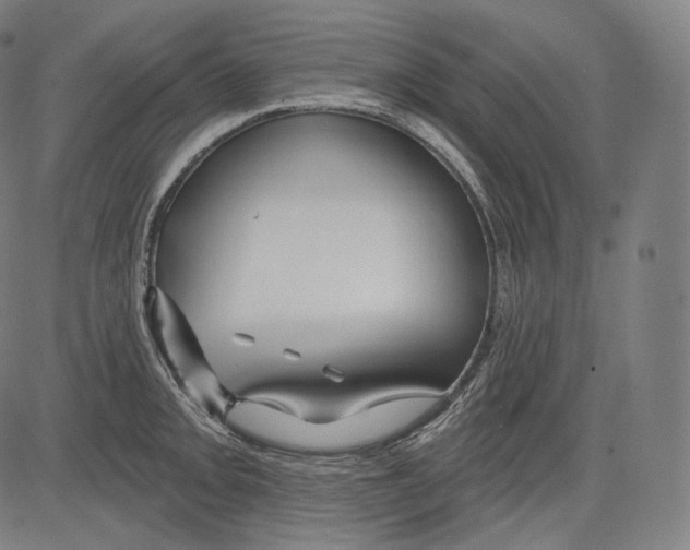 X0000083611093200703121556