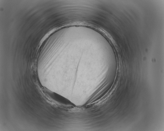 X0000083611097200703121556