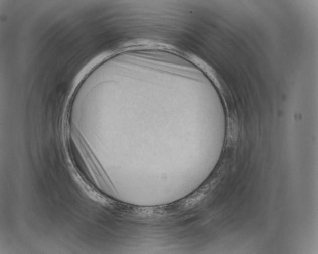 X0000083611098200703121556