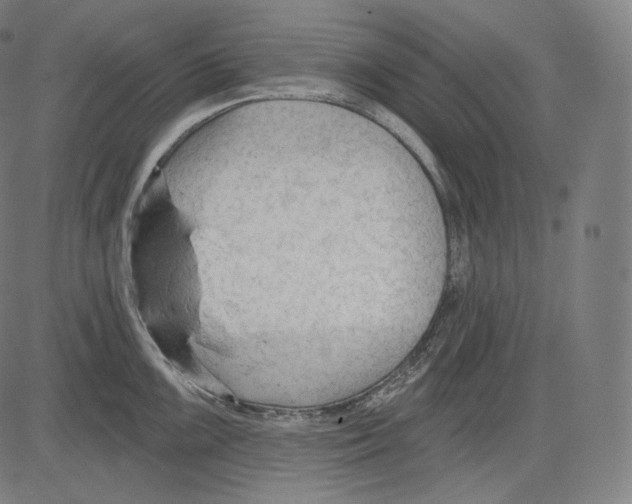 X0000083611099200703121556