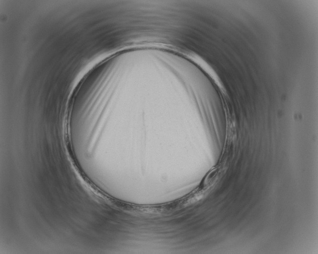 X0000083611101200703121556