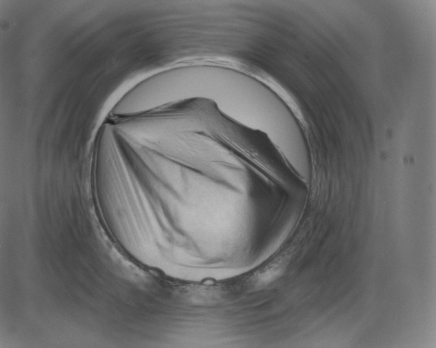 X0000083611102200703121556