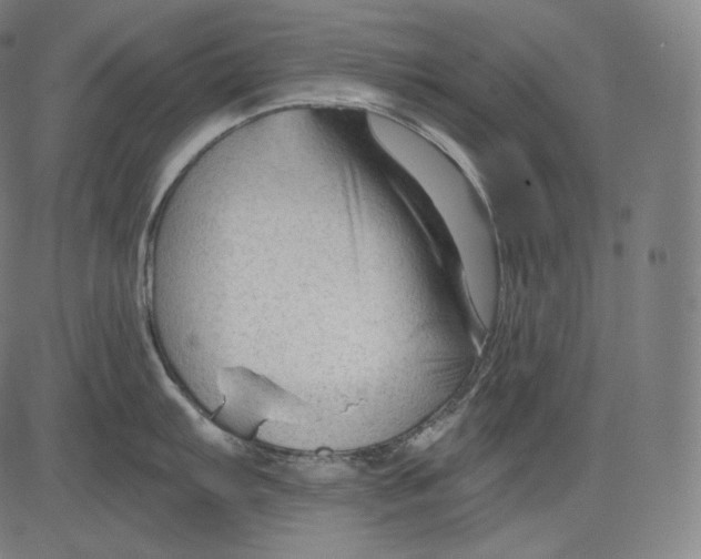 X0000083611103200703121556