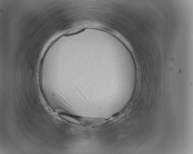 X0000083611104200703121556