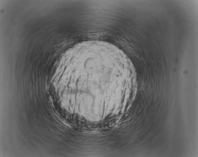 X0000083611106200703121555