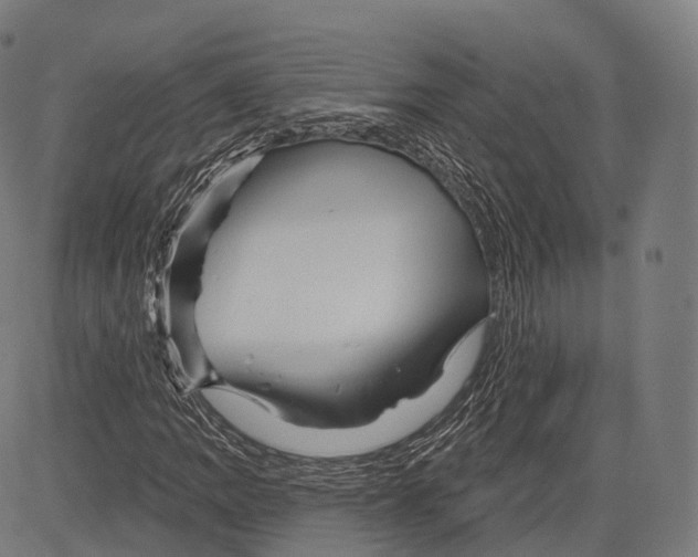 X0000083611109200703121555