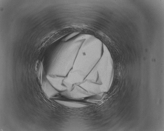 X0000083611110200703121555